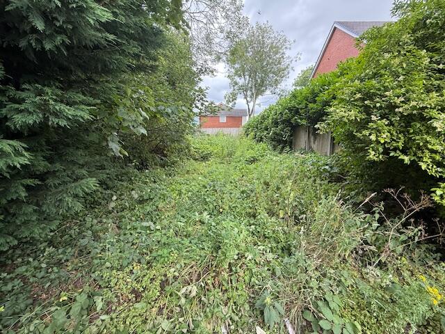 Image001 T202507151023.jpg