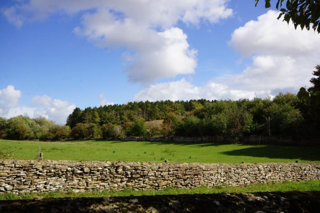 Hawkins Cottage - View.jpg
