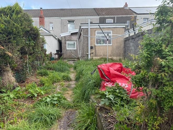 garden.jpg