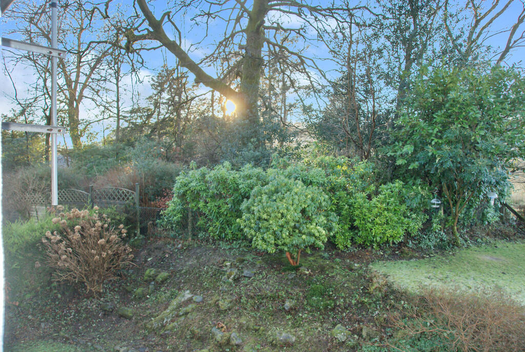 Communal Garden 