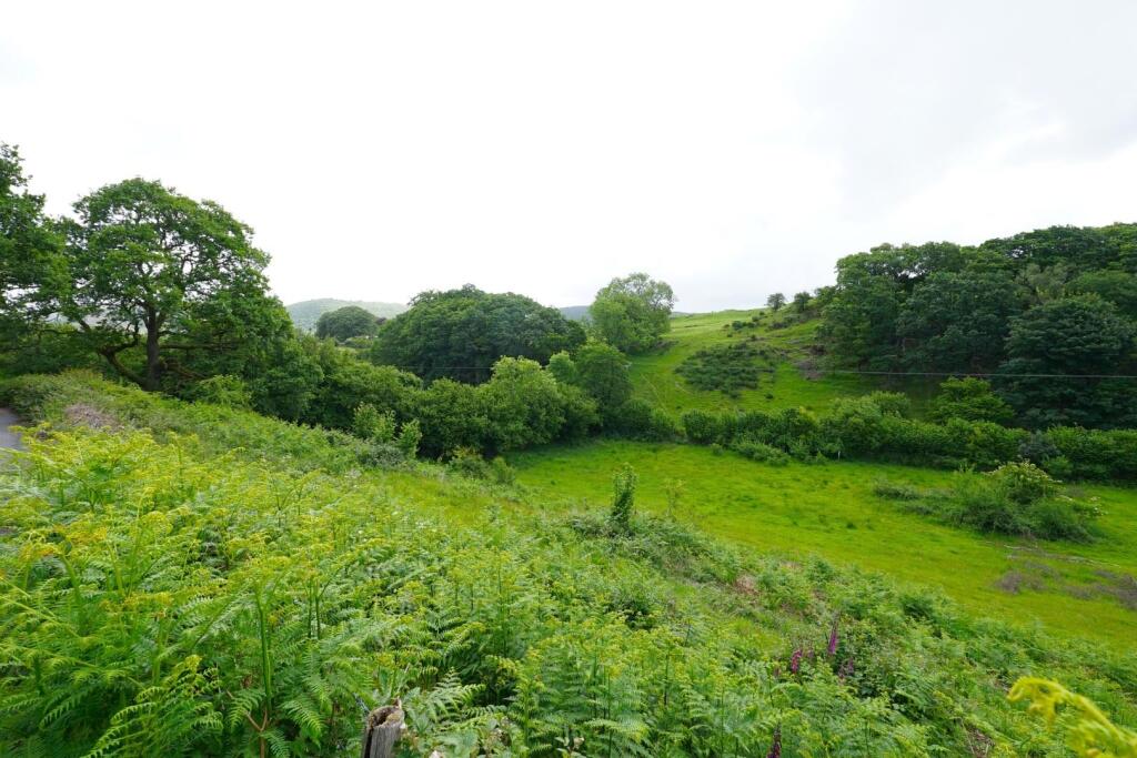 DSC06793.JPG