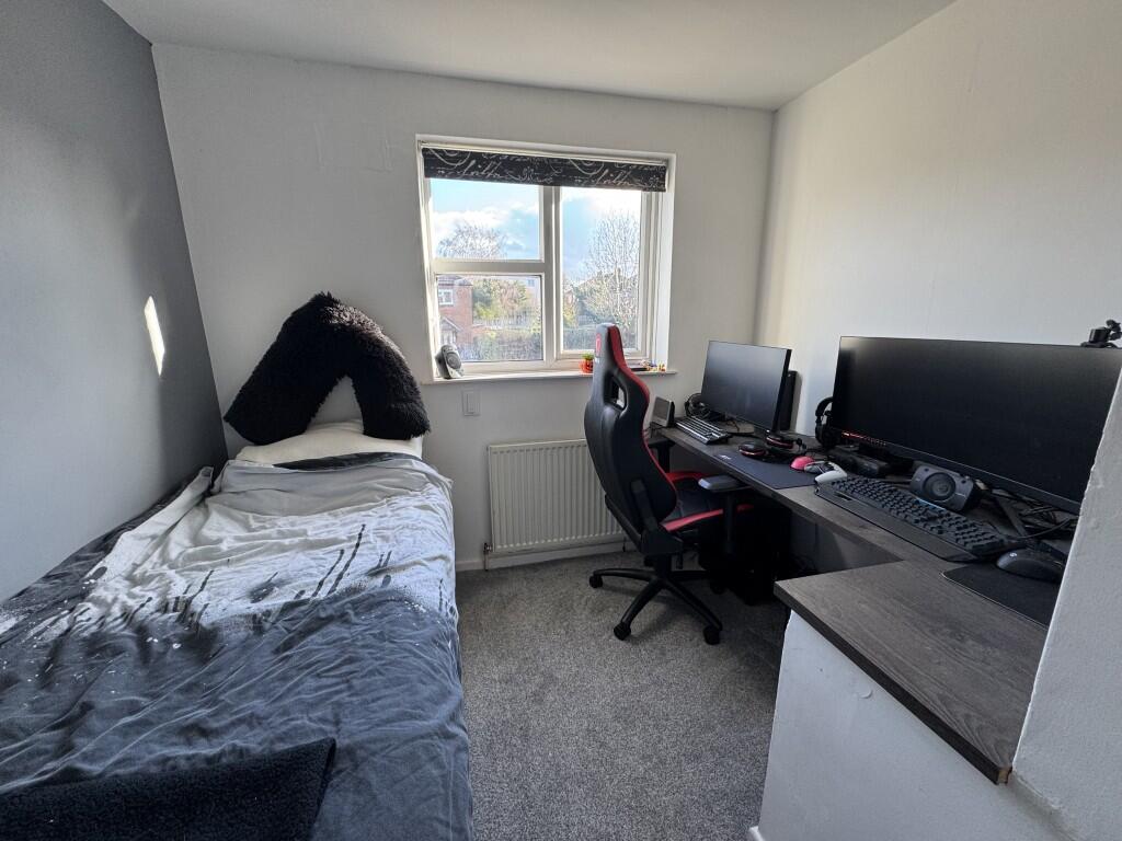 Image00003  Medium  T202503031724.jpeg