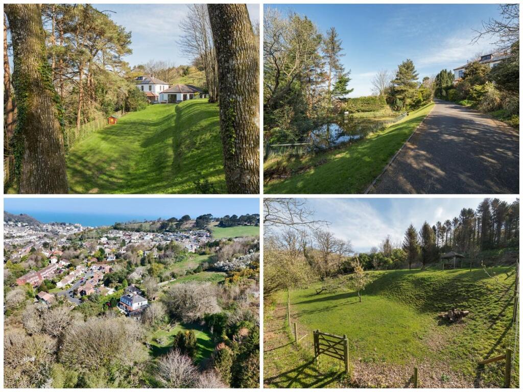 Back Page Collage.jpg