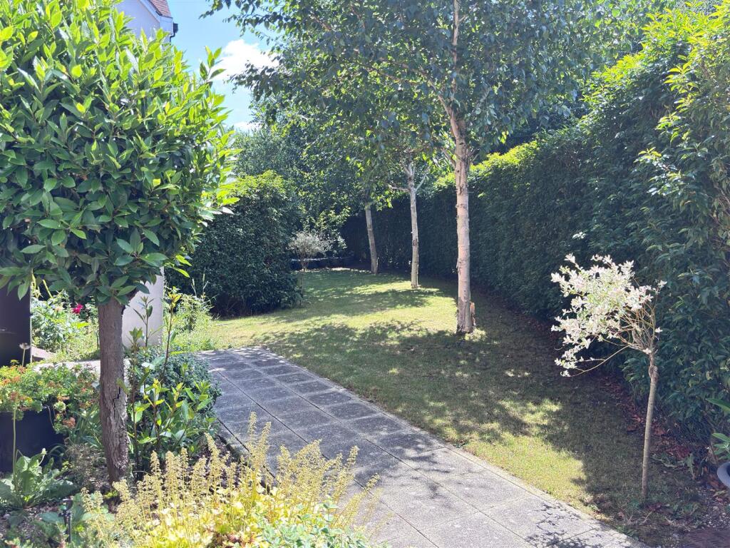 garden.jpg