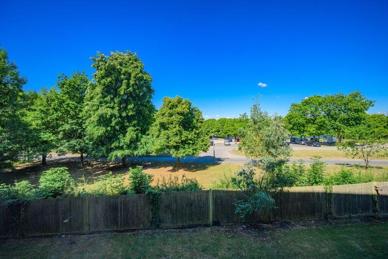 View from Living Room