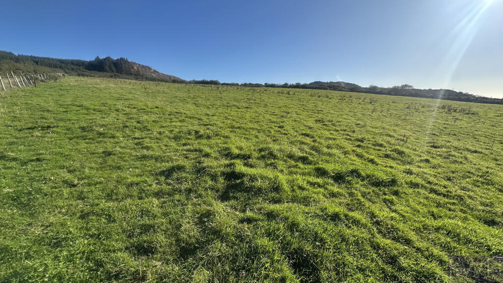 Field