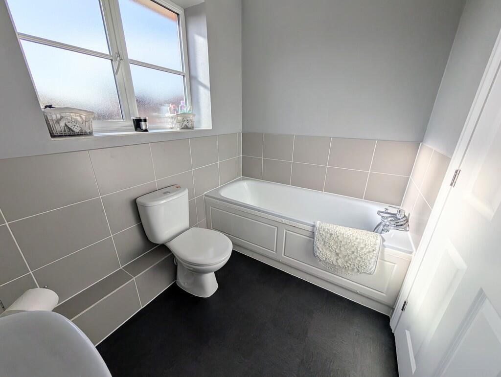 PXL_20241016_1012...