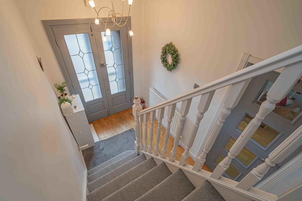 20250117-DSC02209...