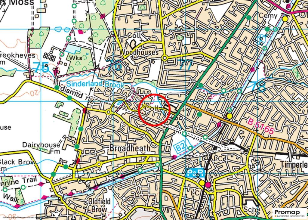 Town Plan