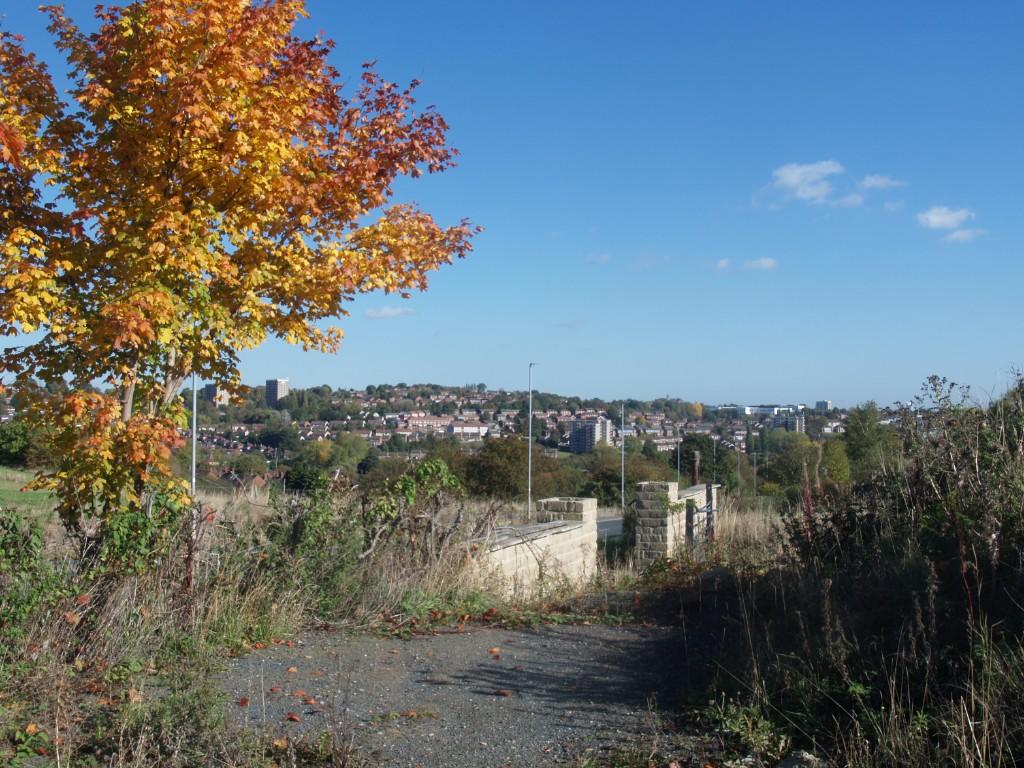 Vista