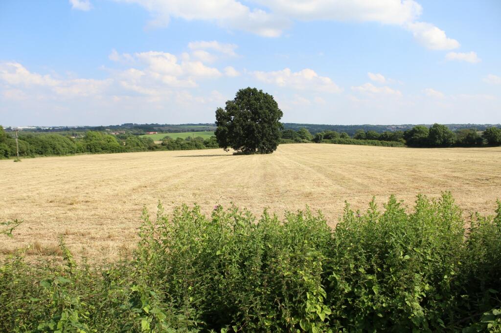 View Beyond