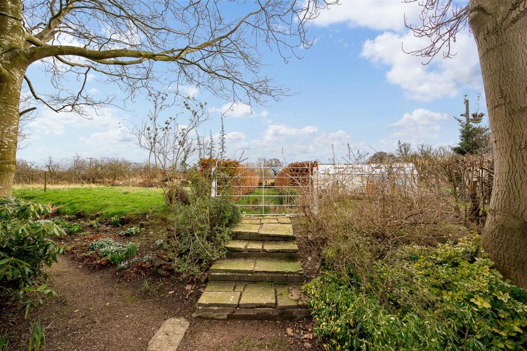 Steps to vegetable patch