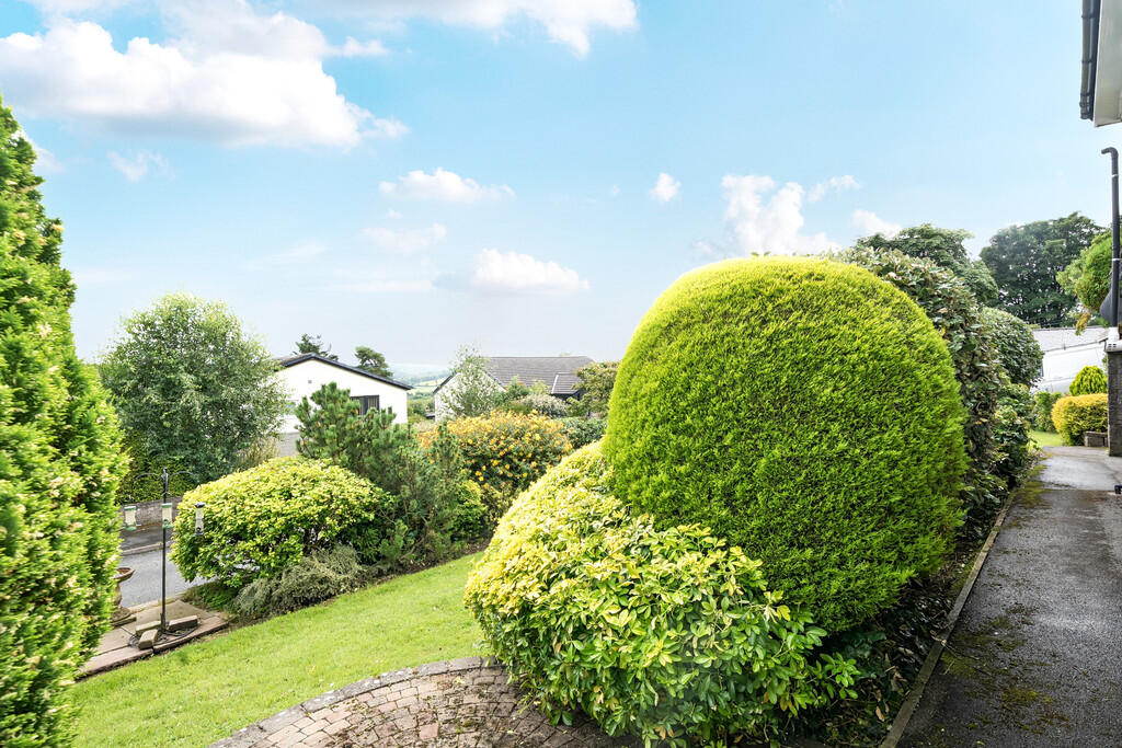 Far Reaching View...