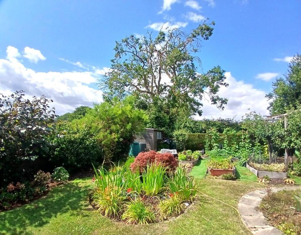 Garden 1.jpg