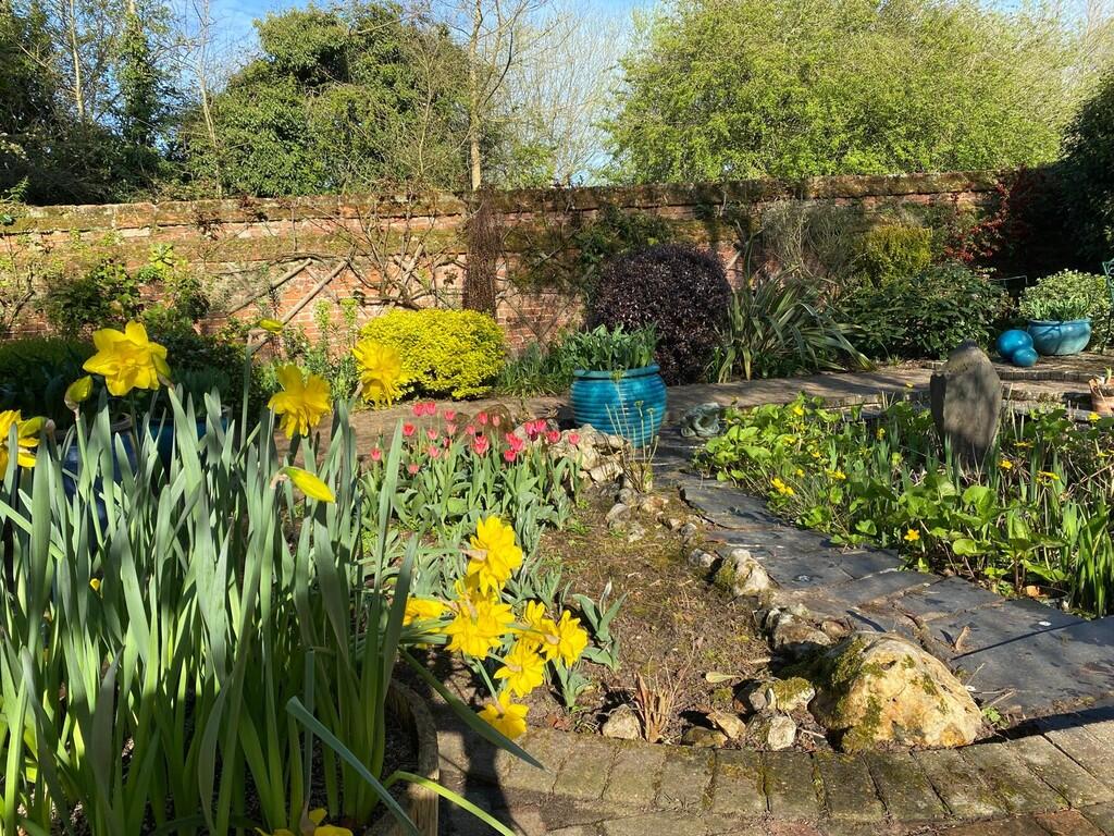 Image supplied by...