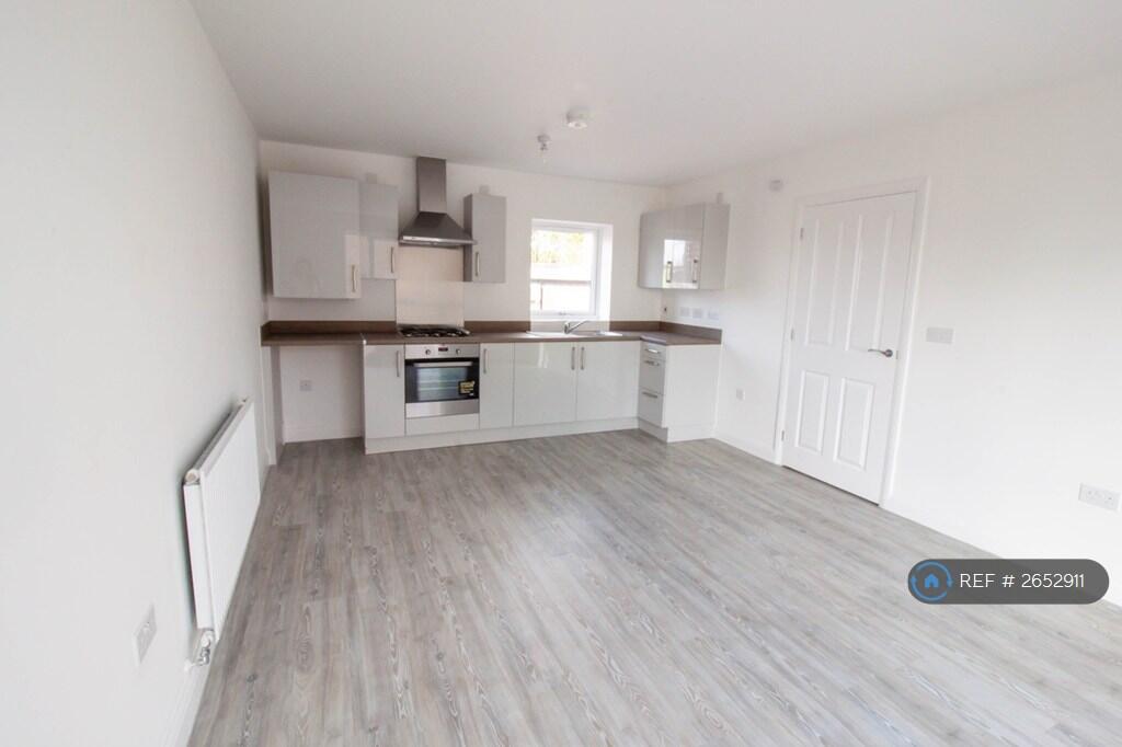 Brand New Kitchen