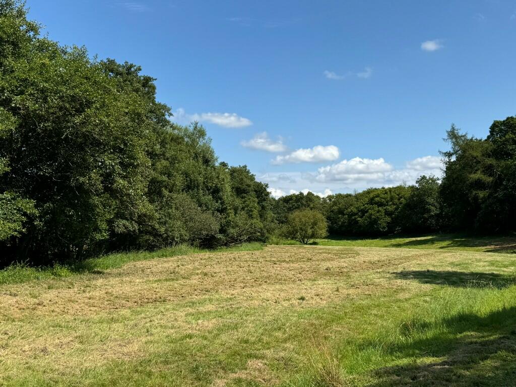 Pasture &amp; Woodland