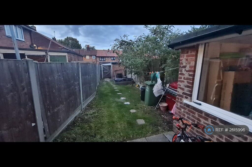 Back Garden