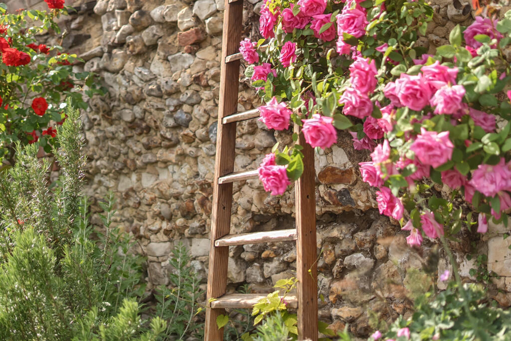 1300286-5-68308e9...