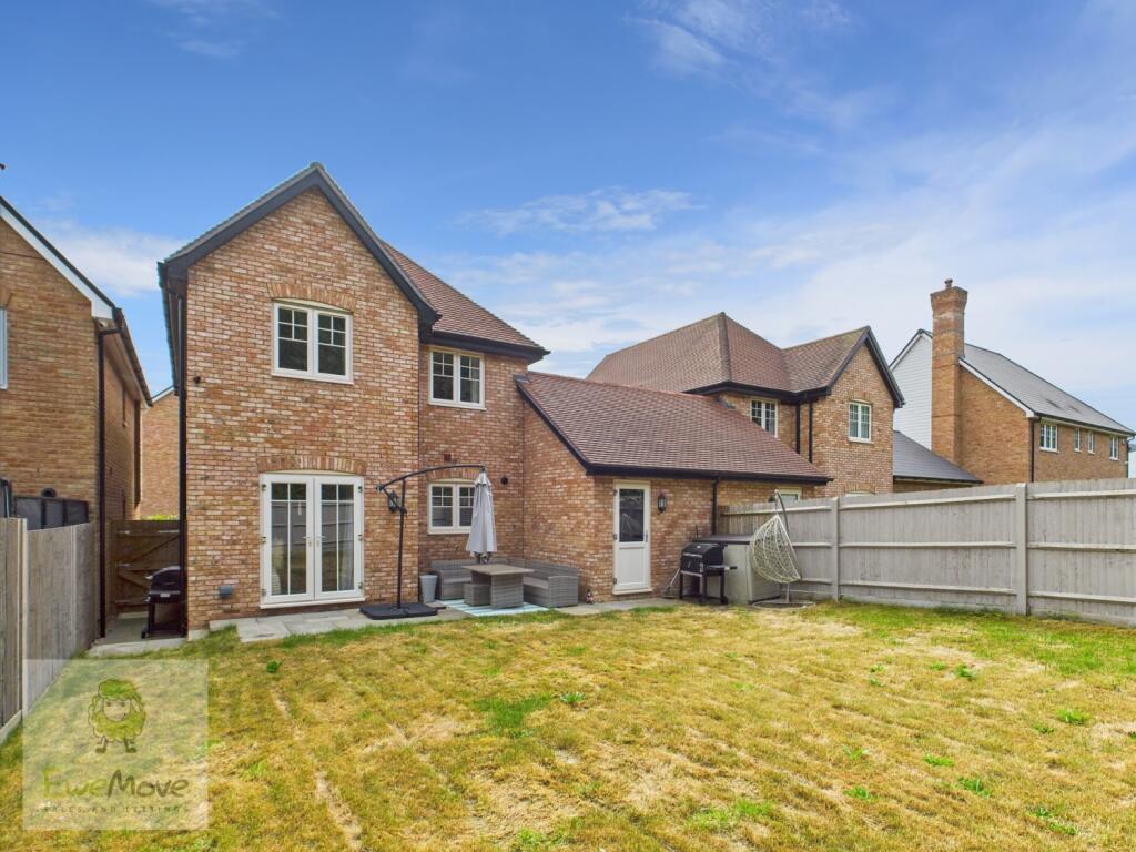 Back of the Property