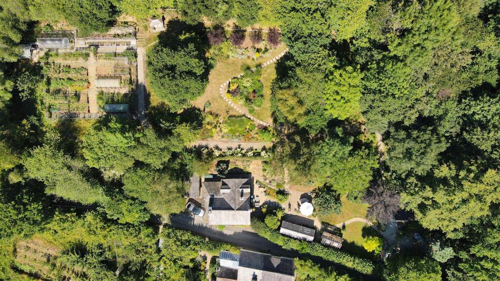 Aerial shot.jpg