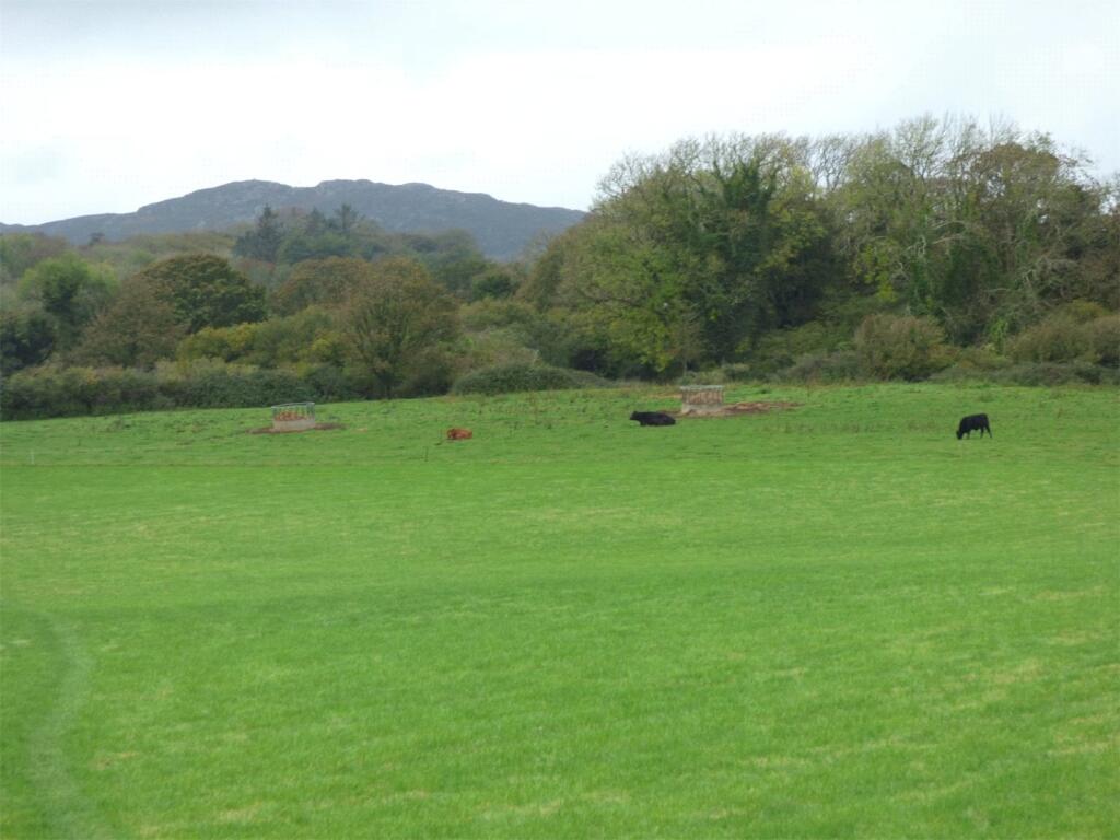 Rural Views