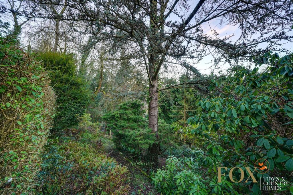 35 Wyche Rd (37).jpg