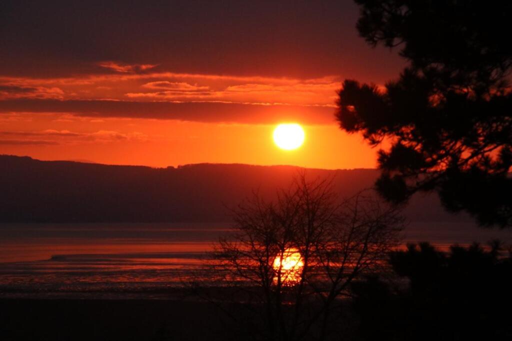 6604ba63-48e2-4619-ad1b-9ce13c049284 2.JPG