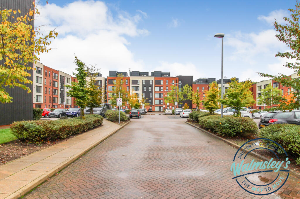 Main development