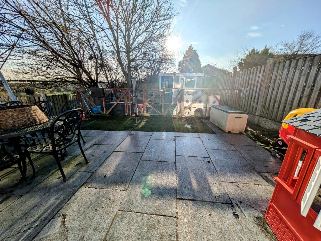 PXL_20250115_115350144~2