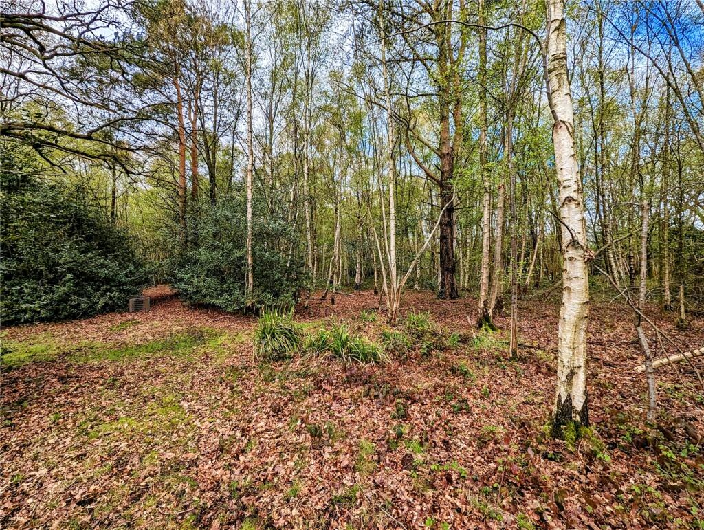 Woodland Walks