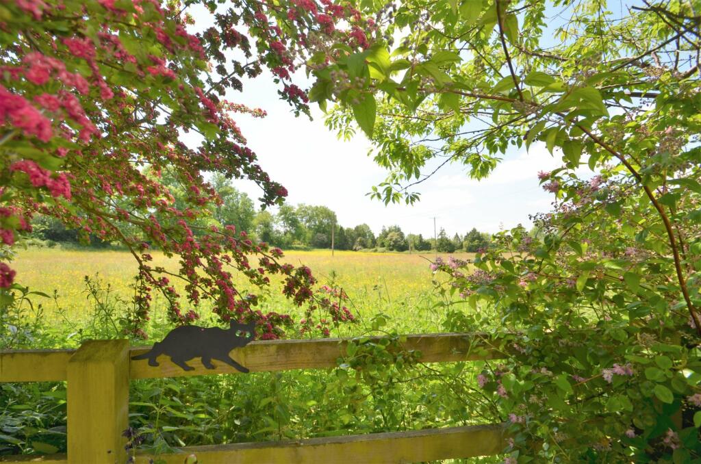 Countryside Views