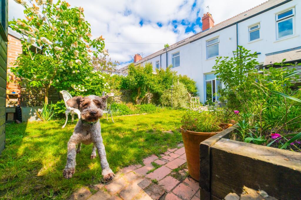 Award-winning Media team on EVERY Listing_8