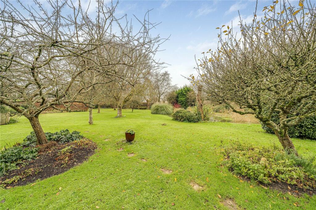 Garden With Pond