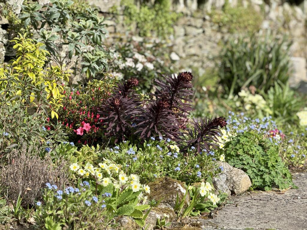 Well Stocked Flower Beds