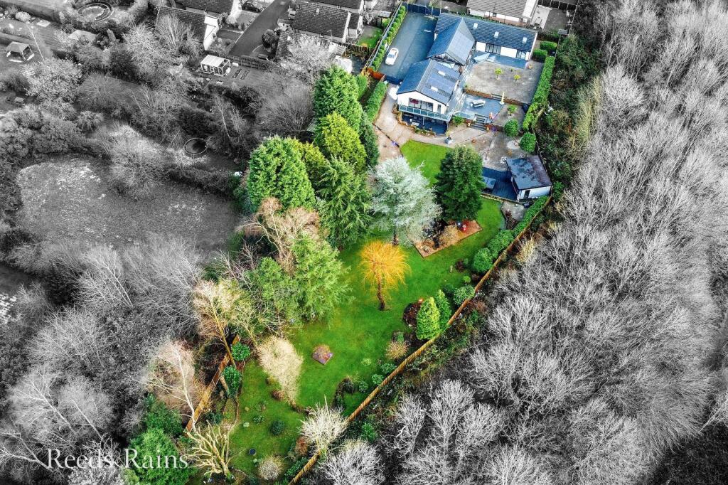 Picture No. 24