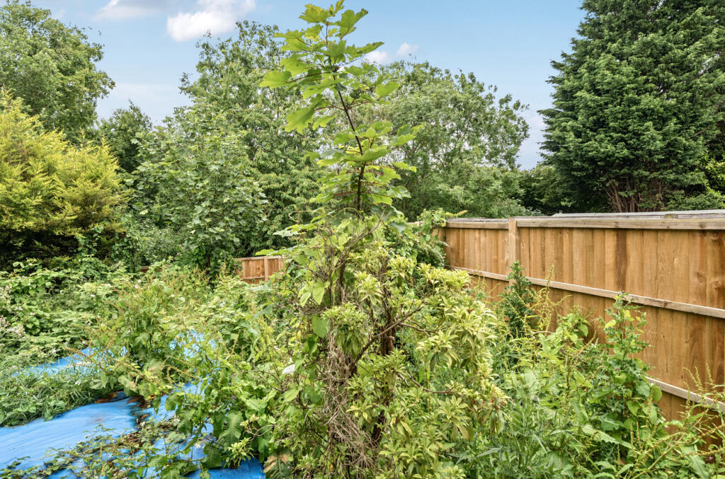 1305155-8-684abff...