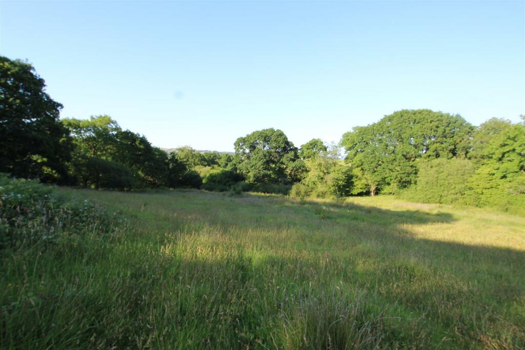 fields 3.JPG