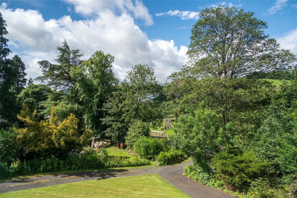 Front Garden &amp; Drive