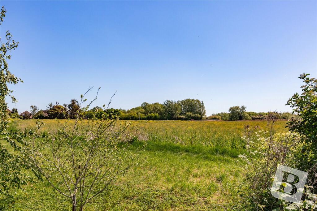 Overlooking Fields