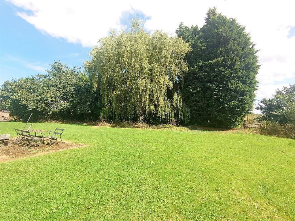 Garden b.jpg