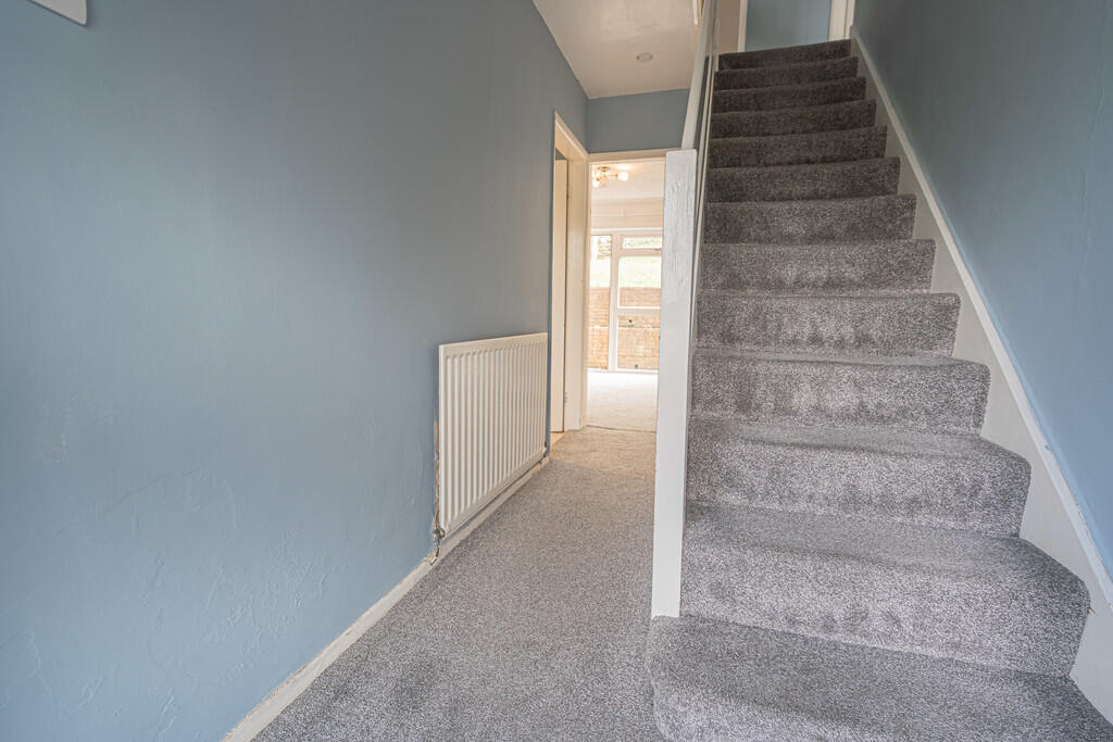 20250919-DSC06607...