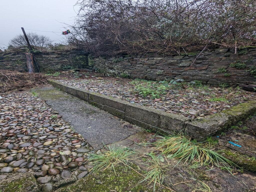 PXL_20240214_1518438