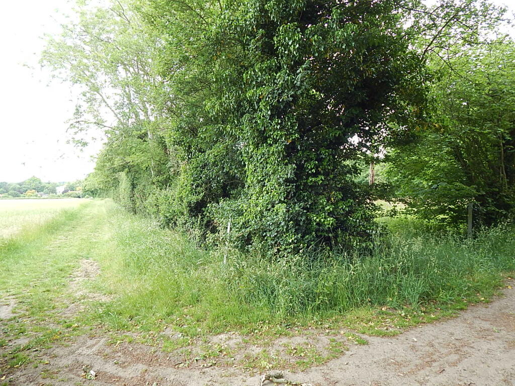 4 T202509241148.jpg