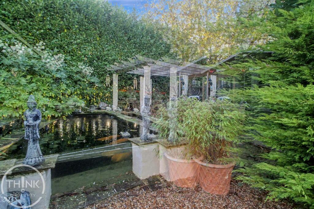 Pond