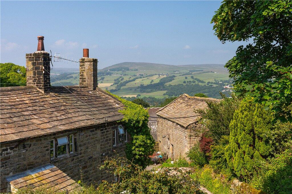 Far Reaching Views