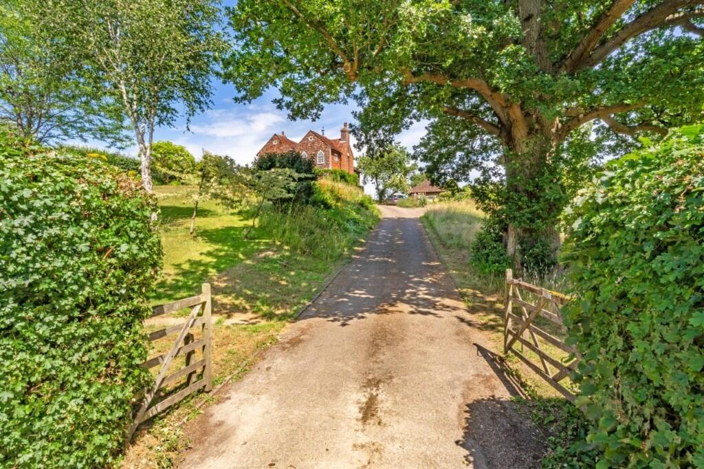 Driveway