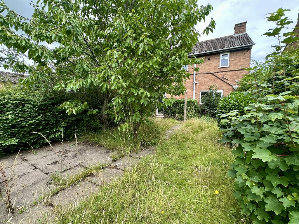 IMG 2993 T202507282242.jpeg