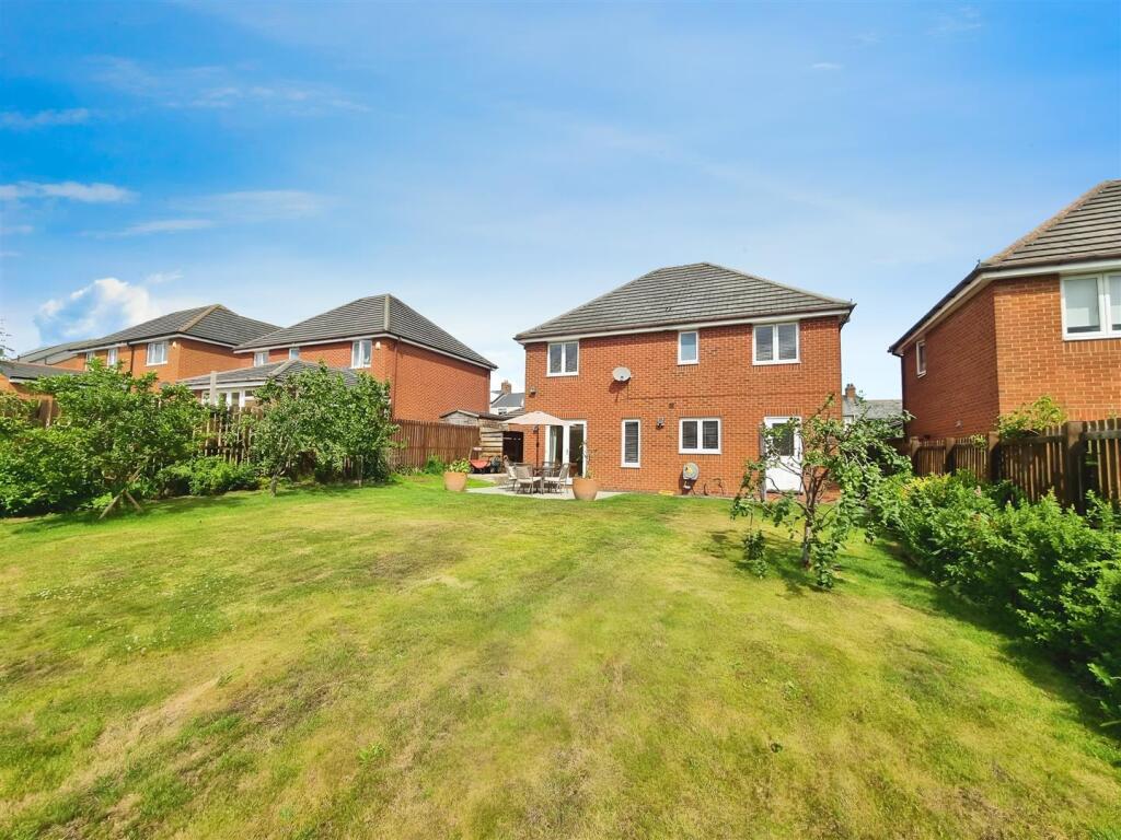 f716d15e-9518038_1807264483169332_2886099218740025