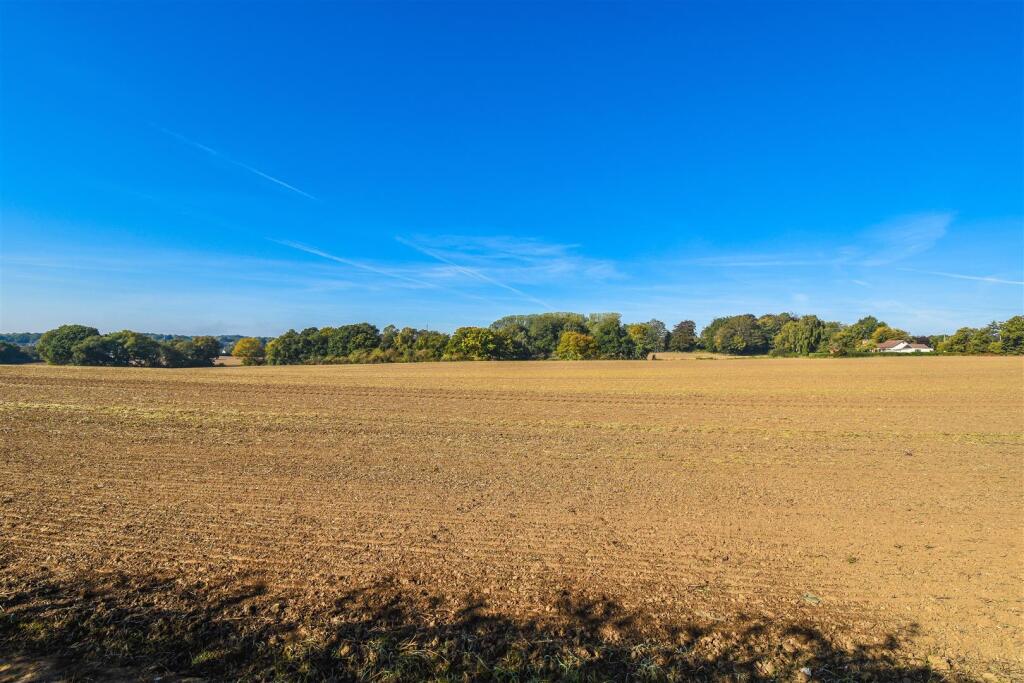 DSC_0304.jpg